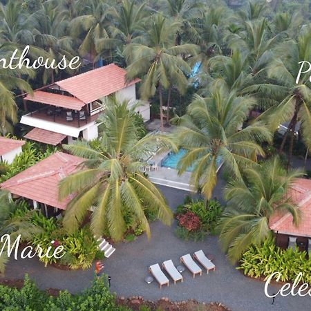 Pont Bleu Suites Riverside & Pool Canacona Eksteriør billede