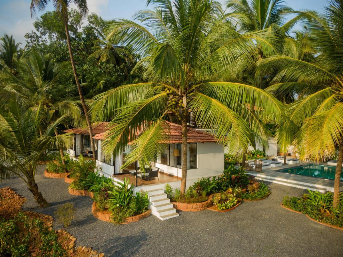 Pont Bleu Suites Riverside & Pool Canacona Eksteriør billede