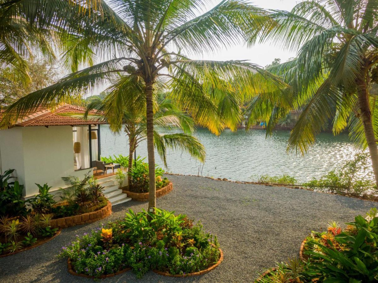 Pont Bleu Suites Riverside & Pool Canacona Eksteriør billede
