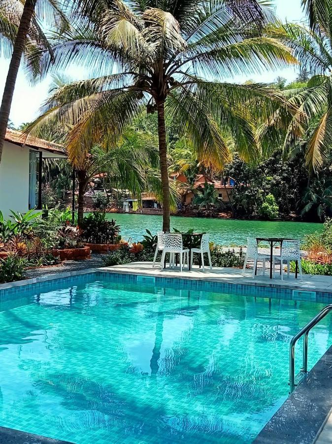 Pont Bleu Suites Riverside & Pool Canacona Eksteriør billede