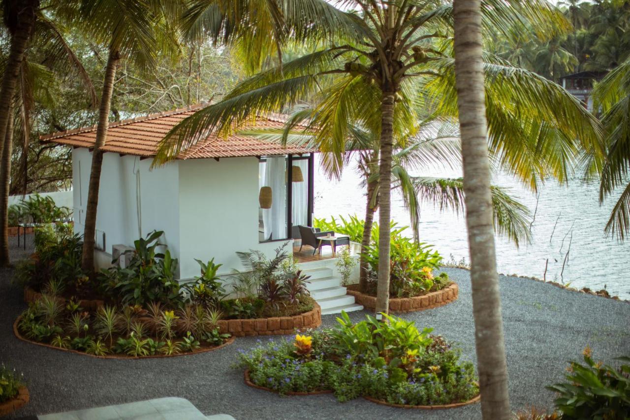 Pont Bleu Suites Riverside & Pool Canacona Eksteriør billede