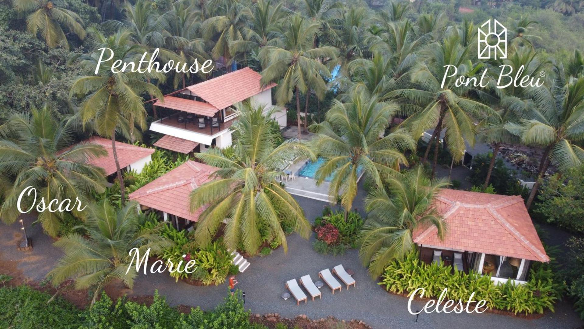 Pont Bleu Suites Riverside & Pool Canacona Eksteriør billede